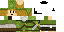 Texture for Secret Agent Link