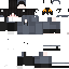 Texture for сыс