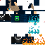 Texture for Steve