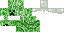 Texture for creeper