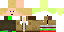 Texture for Lapser