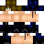 Texture for Skyward of Swillow