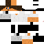 Texture for psboti1