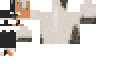 Texture for collector