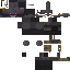 Texture for r5