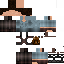 Texture for Maze runner