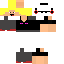 Texture for enderblock mlg