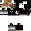 Texture for steve