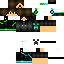 Texture for TidyPark 2 version