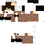 Texture for steve