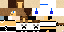 Texture for Ds