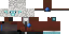 Texture for CSheepCop