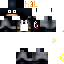 Texture for ninja