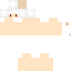 Texture for SkyWind_Body