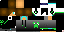 Texture for Biocrazy
