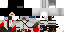 Texture for Assassin