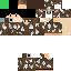 Texture for coe view