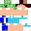 Texture for steve disfraz
