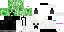 Texture for SlanRet
