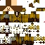 Texture for Quidditch