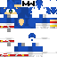 Texture for Sonic