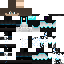 Texture for WINTTER
