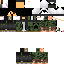 Texture for ds