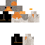 Texture for robin