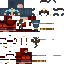 Texture for ds