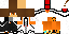 Texture for sebastian