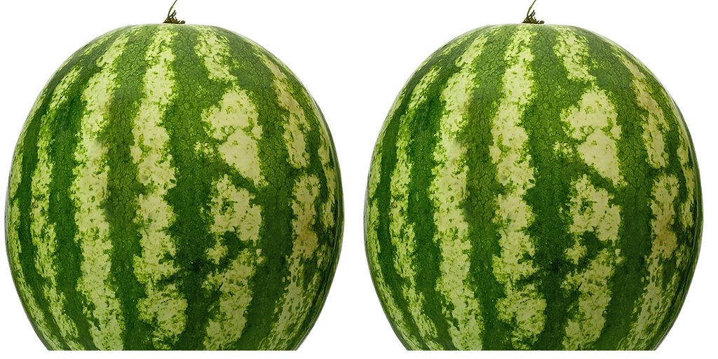 Texture for melon