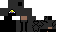 Texture for steve
