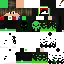 Texture for steve