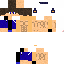 Texture for sir  casio