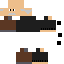 Texture for CARL (MINIBUS)