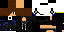 Texture for Steve