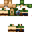 Texture for Linkle Variation V2
