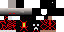 Texture for caxa2221