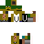 Texture for Steve