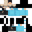 Texture for MOINE