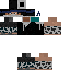 Texture for dude