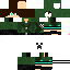 Texture for Scorpionn1208 GREEN ARROW