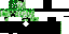 Texture for M.R.CREEPER