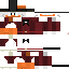 Texture for SCrooge McDuck