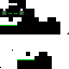 Texture for endermen