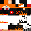 Texture for ds