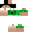 Texture for leo game