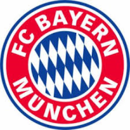 Texture for Bayern munich