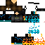 Texture for PenguinMarshall