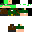 Texture for robin skin